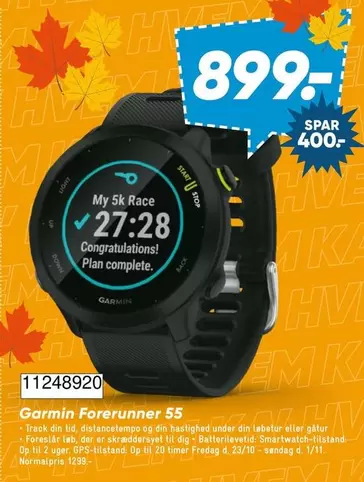Forerunner 55