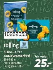 Fisk- eller skaldyrsmarked