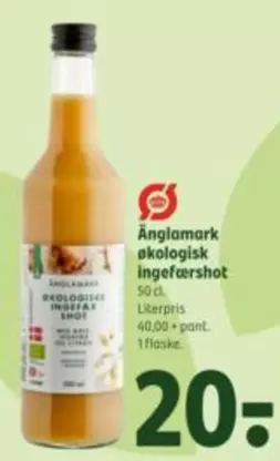 økologisk ingefærshot