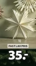 Christmas Star