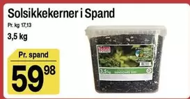 Solsikke kerner