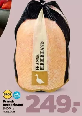 Fransk Berberieand