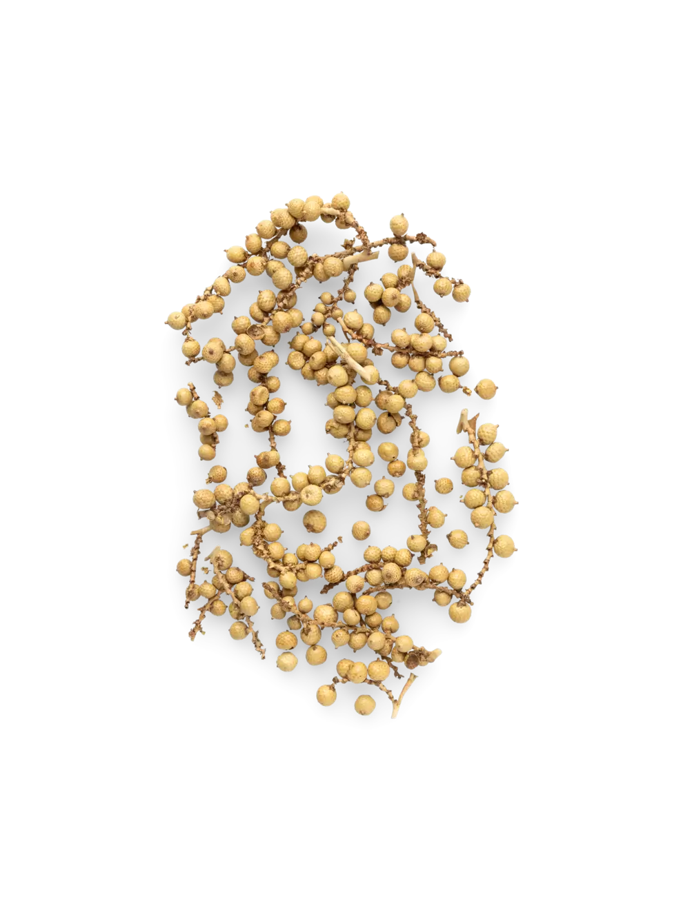 Dekorative peberfrugter