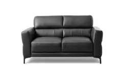 Natuzzi Editions C105 2 pers. sofa  Vis 