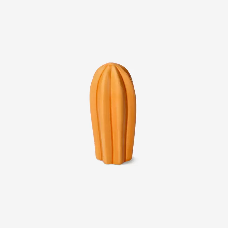 Orange dekorativ kaktus - 10 cm