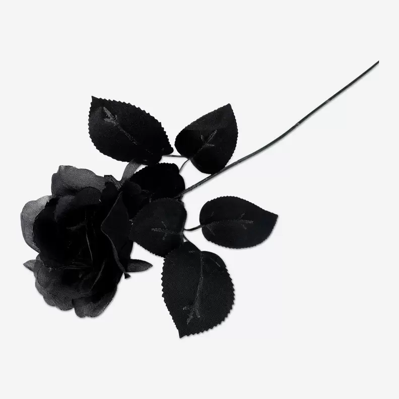 Dekorativ blomst - sort rose