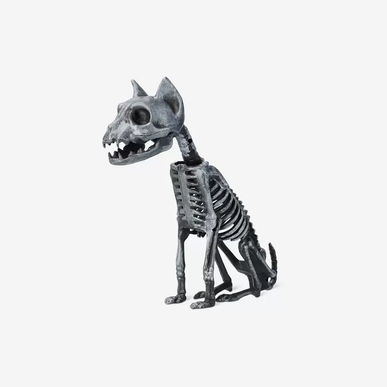 Skeletkat