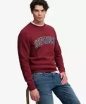 Athletic Applique Sweatshirt Almindelig Pasform
