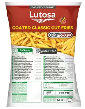 Pommes frites coated salted