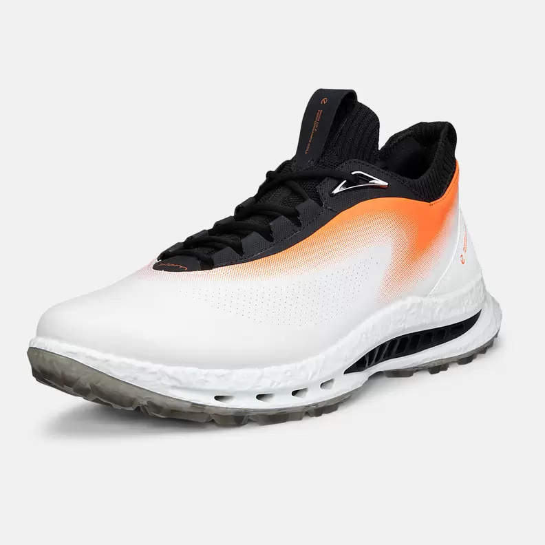 Biom C5 - Ibis