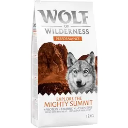 Wolf of Wilderness "Explore The Mighty Summit" Performance - kornfri