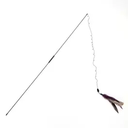 Drillepind Bird