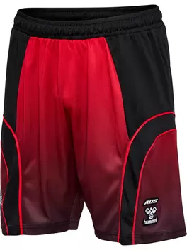 Hummel - DBU X ALIS 26/27 Shorts