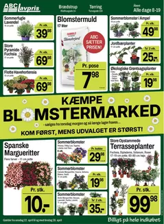 ABC Lavpris katalog i Odense | Toptilbud og rabatter | 2026-04-22T00:00:00.000Z - 2026-04-28T00:00:00.000Z