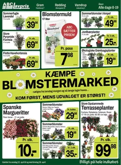 ABC Lavpris katalog i Skanderborg | Stort udvalg af tilbud | 2026-04-22T00:00:00.000Z - 2026-04-28T00:00:00.000Z