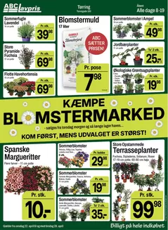 ABC Lavpris katalog i Brønderslev | Attraktive særtilbud til alle | 2026-04-22T00:00:00.000Z - 2026-04-28T00:00:00.000Z