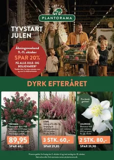 Plantorama katalog i Randers | Plantorama Tilbud | 2026-10-13T00:00:00.000Z - 2026-10-18T00:00:00.000Z