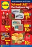 Lidl katalog i Vildbjerg | Tilbud til kupjægere | 2025-12-03T00:00:00.000Z - 2025-12-13T00:00:00.000Z