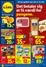 Lidl katalog i Skanderborg | Aktuelle kup og tilbud | 2026-02-04T00:00:00.000Z - 2026-02-14T00:00:00.000Z