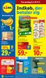 Lidl katalog i Rudkøbing | Tilbudsavis | 2026-07-05T00:00:00.000Z - 2026-07-11T00:00:00.000Z