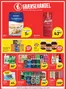 Fakta Tyskland katalog | Uge 41 43 | 2026-10-07T00:00:00.000Z - 2026-10-27T00:00:00.000Z