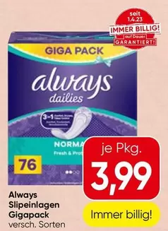 Slipeinlagen Gigapack