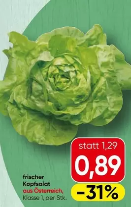 Kopfsalat