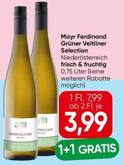 Grüner Veltliner Selection