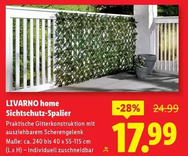 Sichtschutz-Spalier