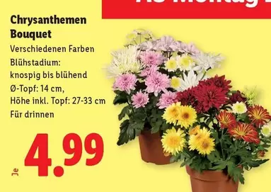 Chrysanthemen Bouquet