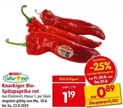 Bio - - Spitzpaprika rot
