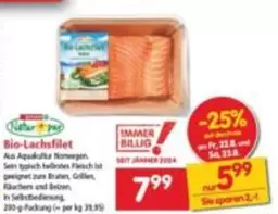 Bio-Lachsfilet