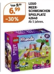 Friends - MEER-SCHWEINCHEN SPIELPLATZ 42640