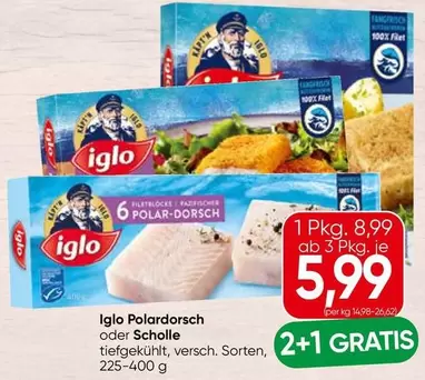 Polardorsch oder Scholle