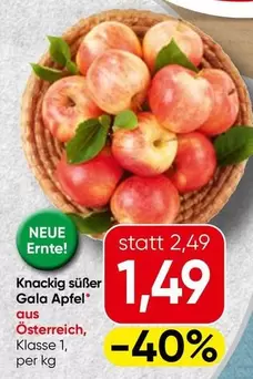 Gala -  Apfel