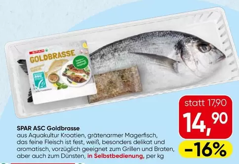 ASC Goldbrasse
