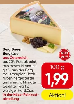 Berg - käse