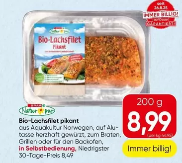 Bio-Lachsfilet pikant