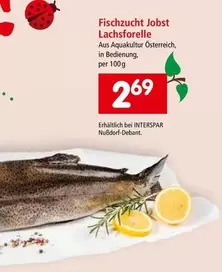 Lachsforelle