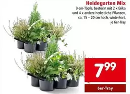 Mix - Heidegarten