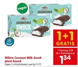Vegan - Coconut Milk Snack