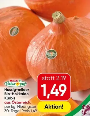 Bio-Hokkaido Kürbis