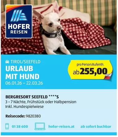 URLAUB MIT HUND