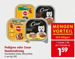 Hundenahrung