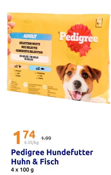 Mix - Hundefutter Huhn & Fisch