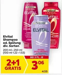 Hydra - Shampoo od. Spülung