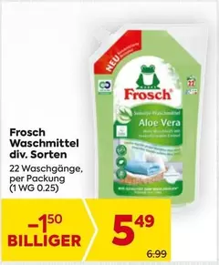 Frosch - Waschmittel