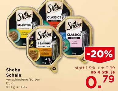 Schale