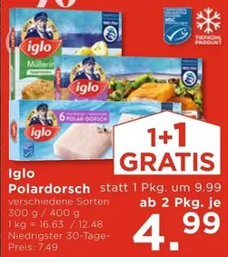Polar - dorsch