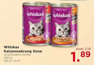 Katzennahrung Dose